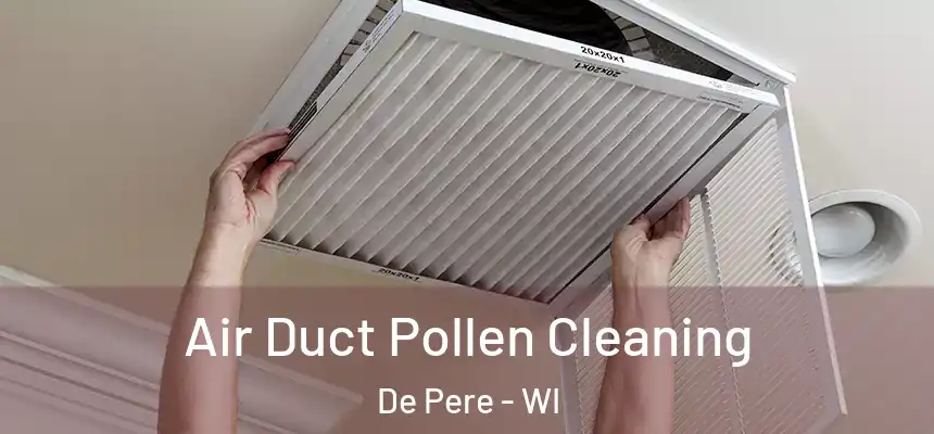  Air Duct Pollen Cleaning De Pere - WI