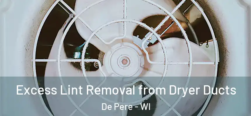  Excess Lint Removal from Dryer Ducts De Pere - WI