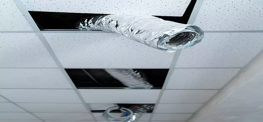 Affordable HVAC Sanitizing After Pest Removal in De Pere