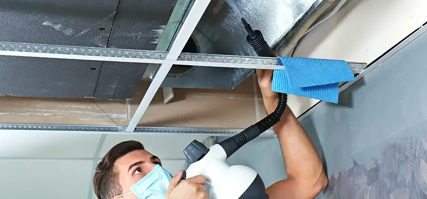 Our Air Duct Rodent Removal Services in De Pere, WI