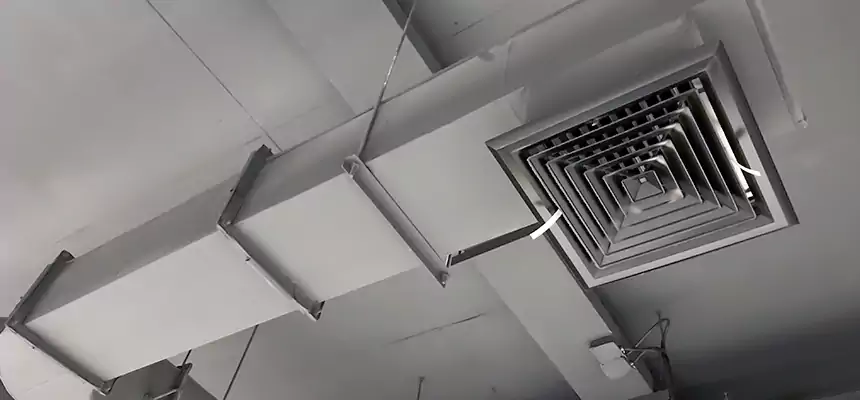 Our Pest Removal From Ducts Services in De Pere, WI