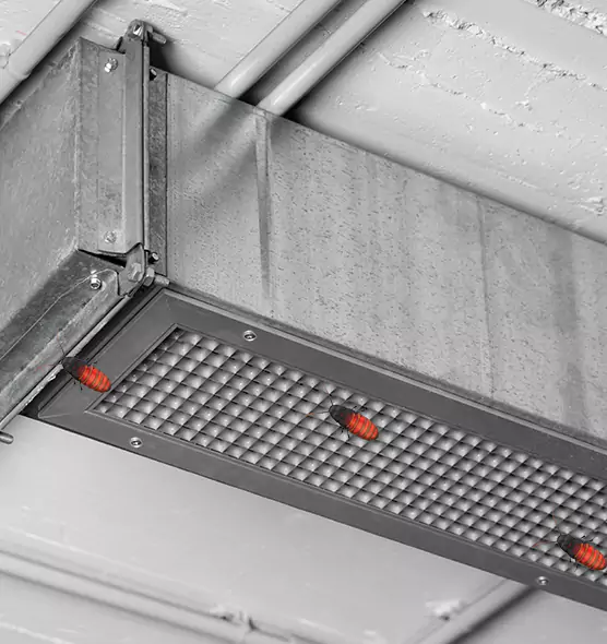 Affordable Insect Removal from Air Ducts in De Pere, WI
