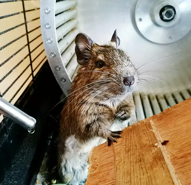 Why Homeowners & Businesses Trust Us De Pere, WI?